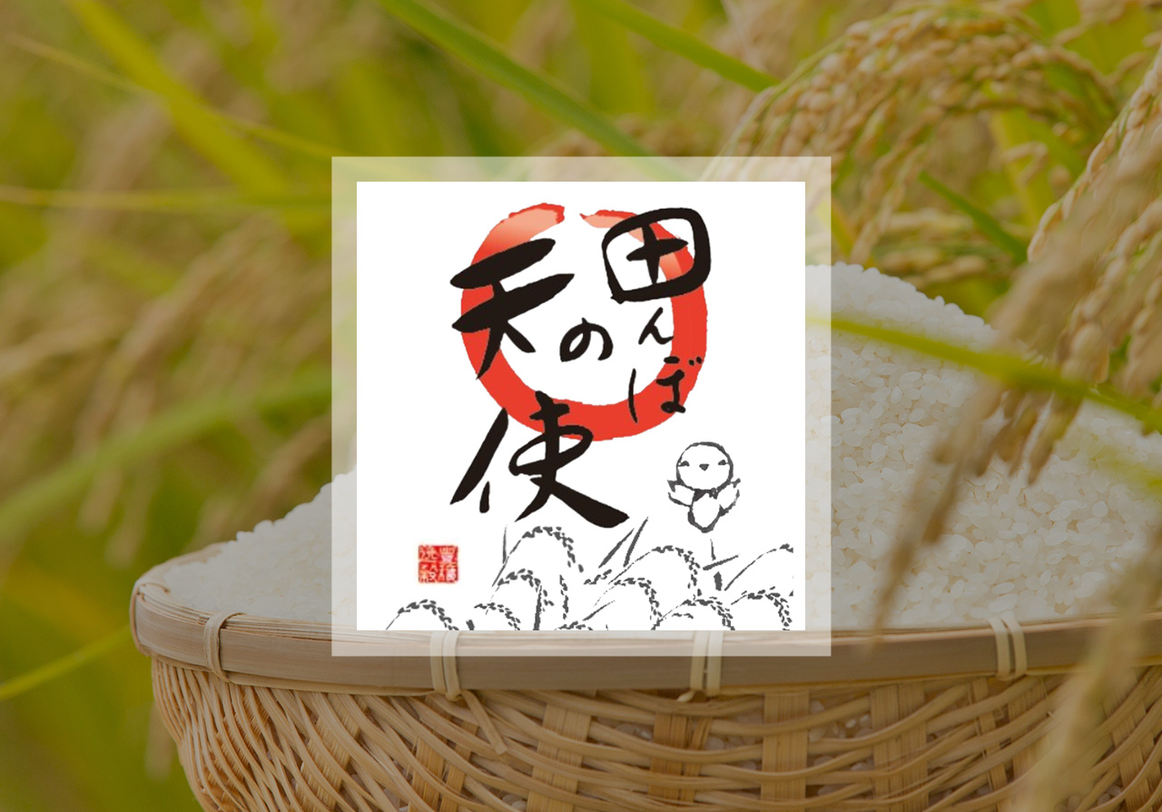 福井県が定める「特別栽培米」として認証